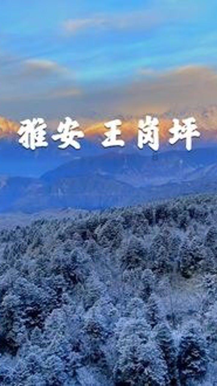斯堪尼亚战争：挫败丹麦反扑？